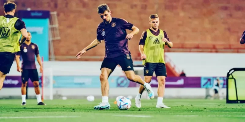 Tham khảo các nhận định chuyên gia nhưng tự đưa ra quyết định cuối cùng