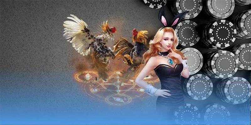 Chính sách miễn trừ trách nhiệm là gì?